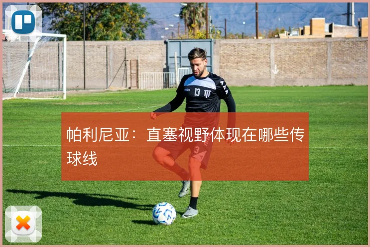 帕利尼亚：直塞视野体现在哪些传球线